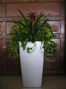 Interior Example 20