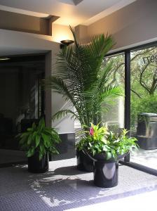 Interior Example 17