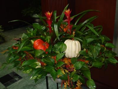 Blooming Bowl with Fall Color.JPG
